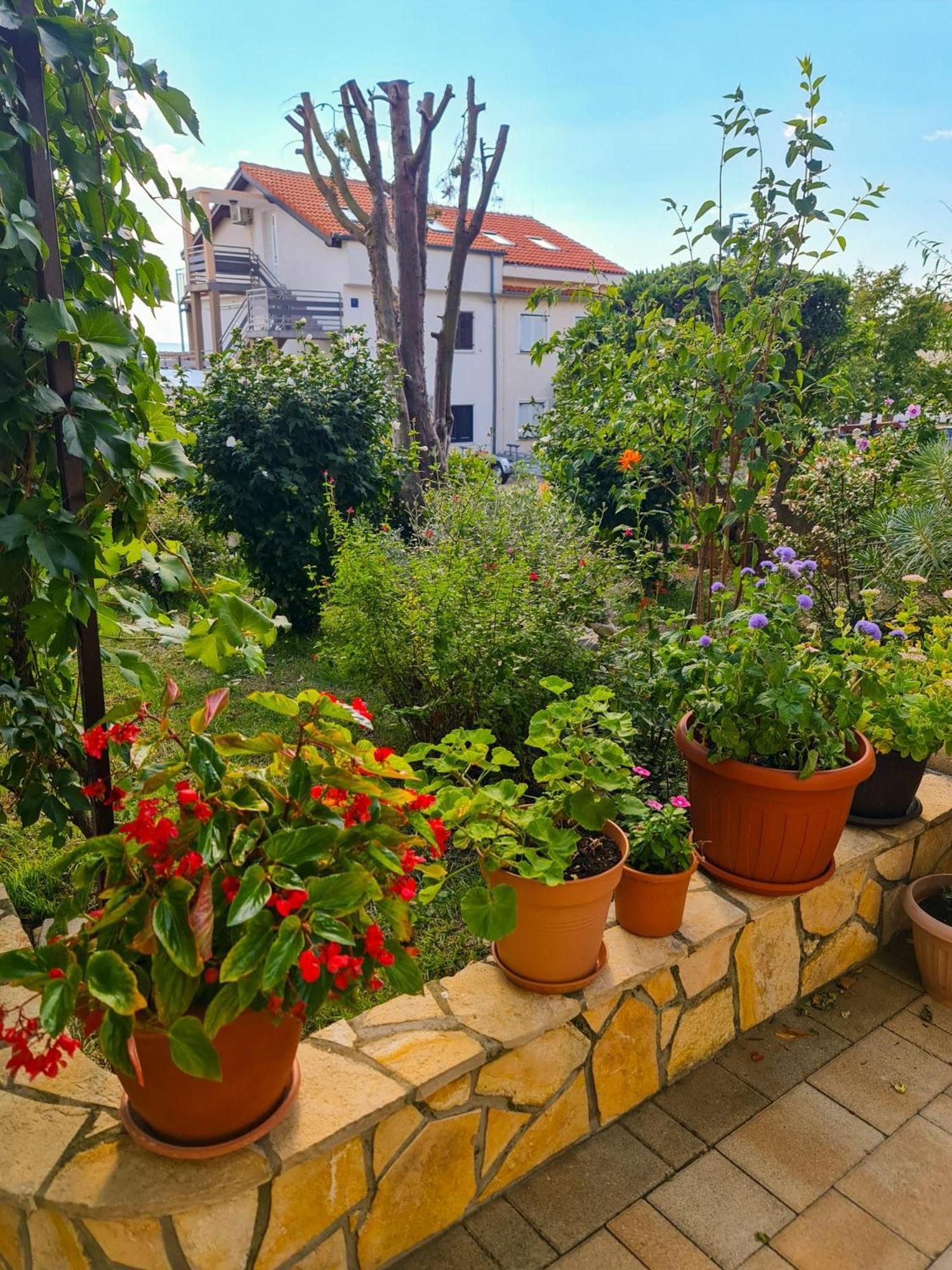 Apartments Marko Novi Vinodolski Værelse billede
